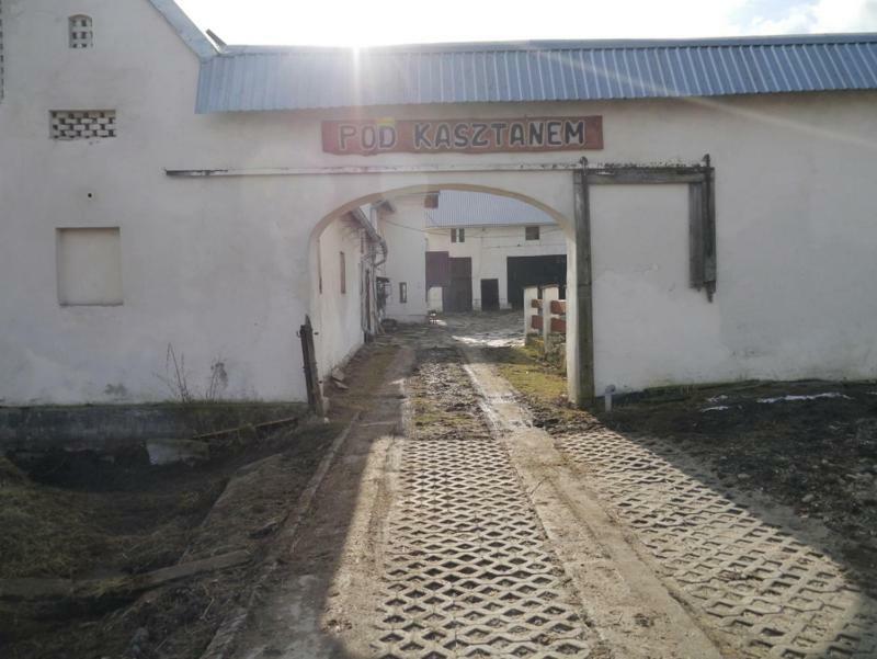 Pod Kasztanem Gospodarstwo Agroturystyczne Stronie Slaskie Exterior foto